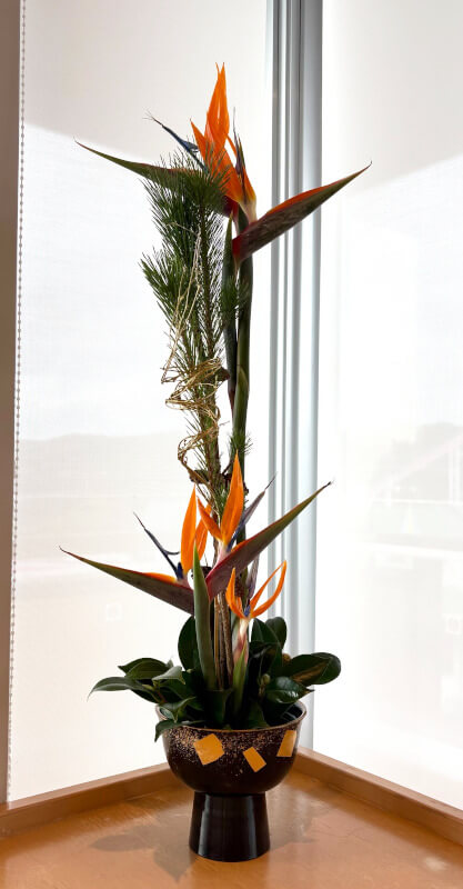 最近の講師作品