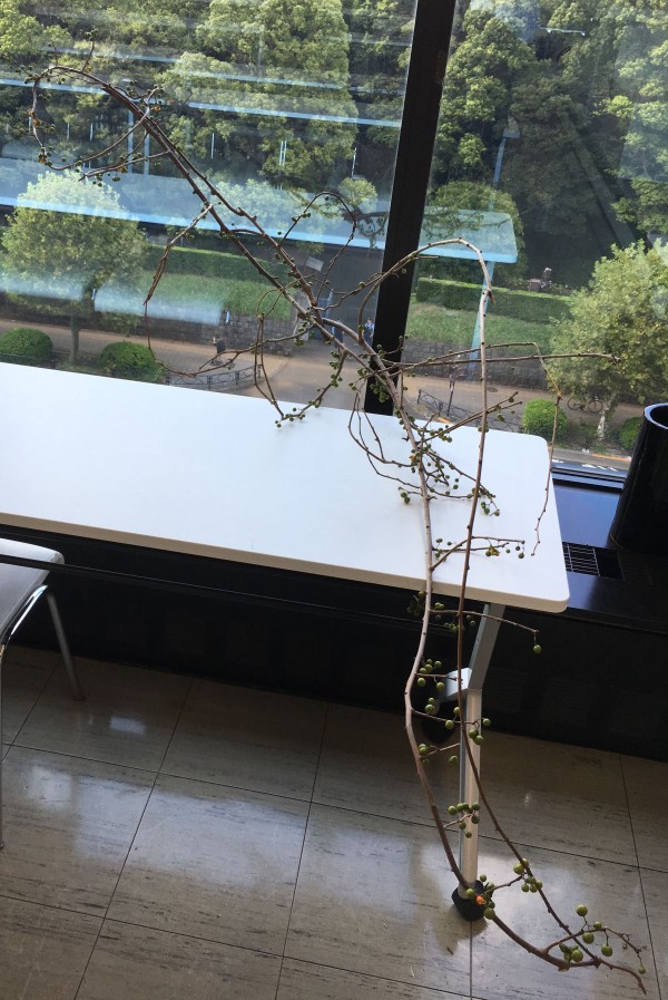 いけばな作品