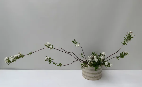 いけばな作品