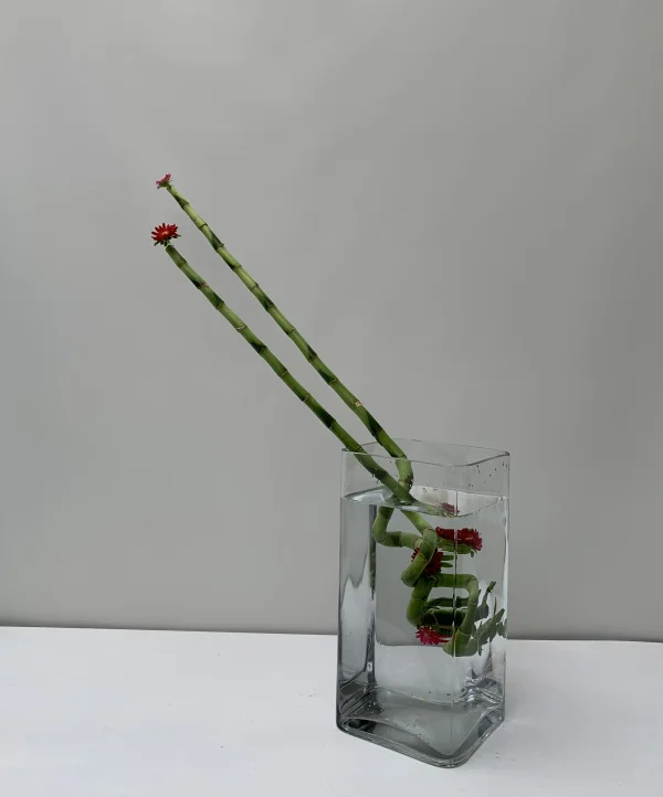 いけばな作品