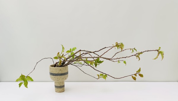 いけばな作品