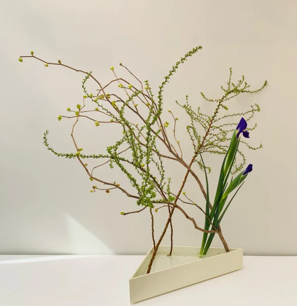 いけばな作品