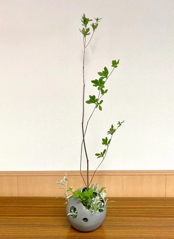 いけばな作品