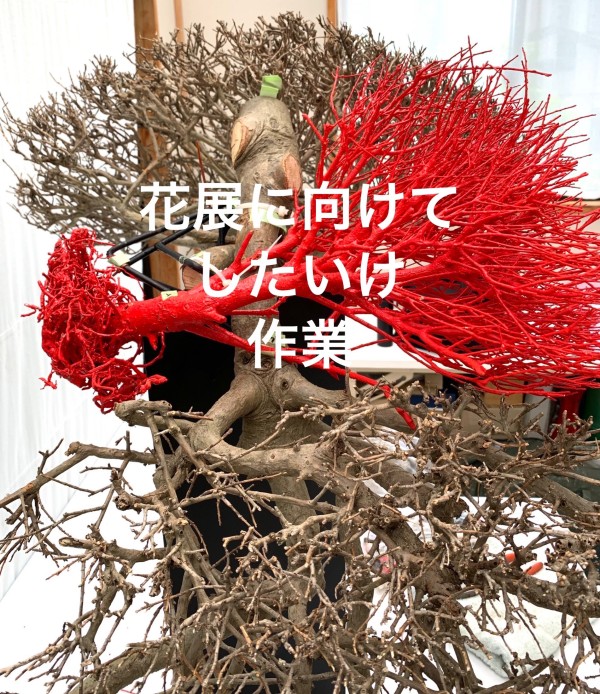 いけばな作品