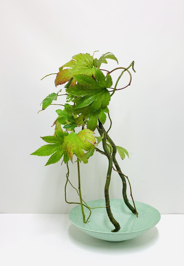 いけばな作品