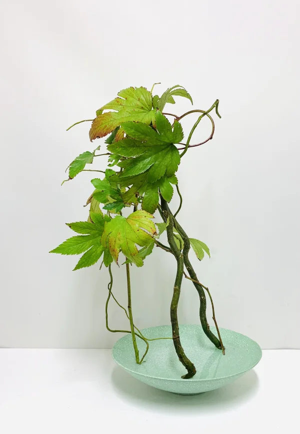 いけばな作品