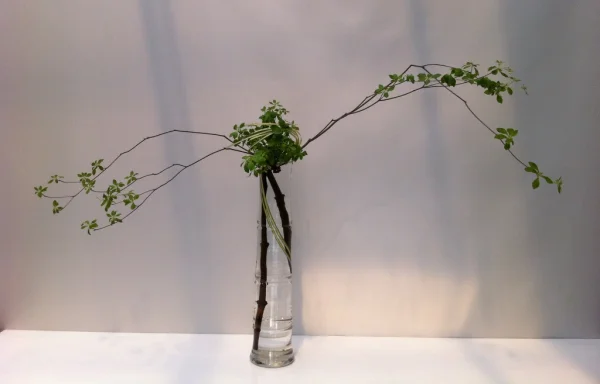 いけばな作品