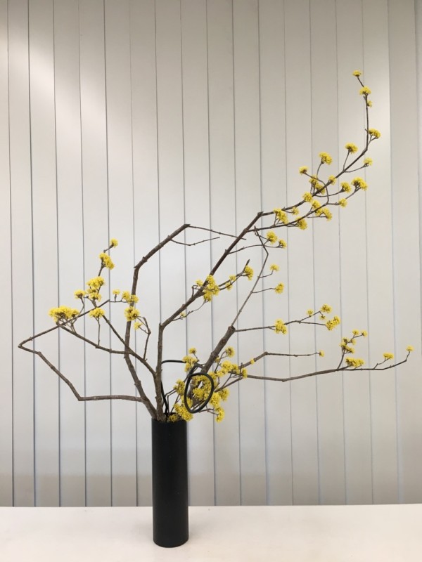 いけばな作品
