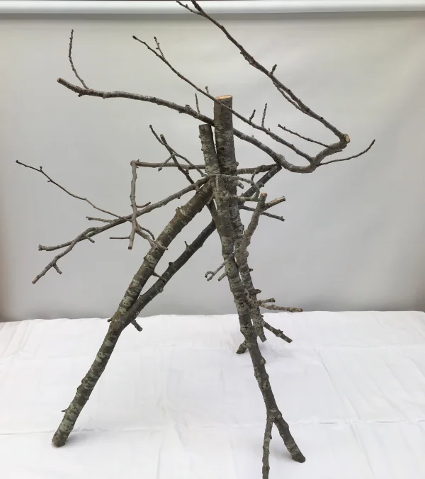 いけばな作品