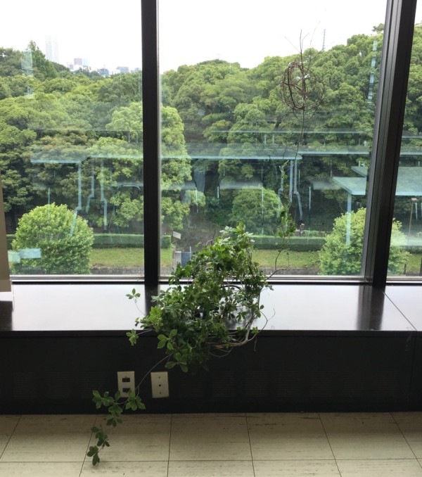 いけばな作品