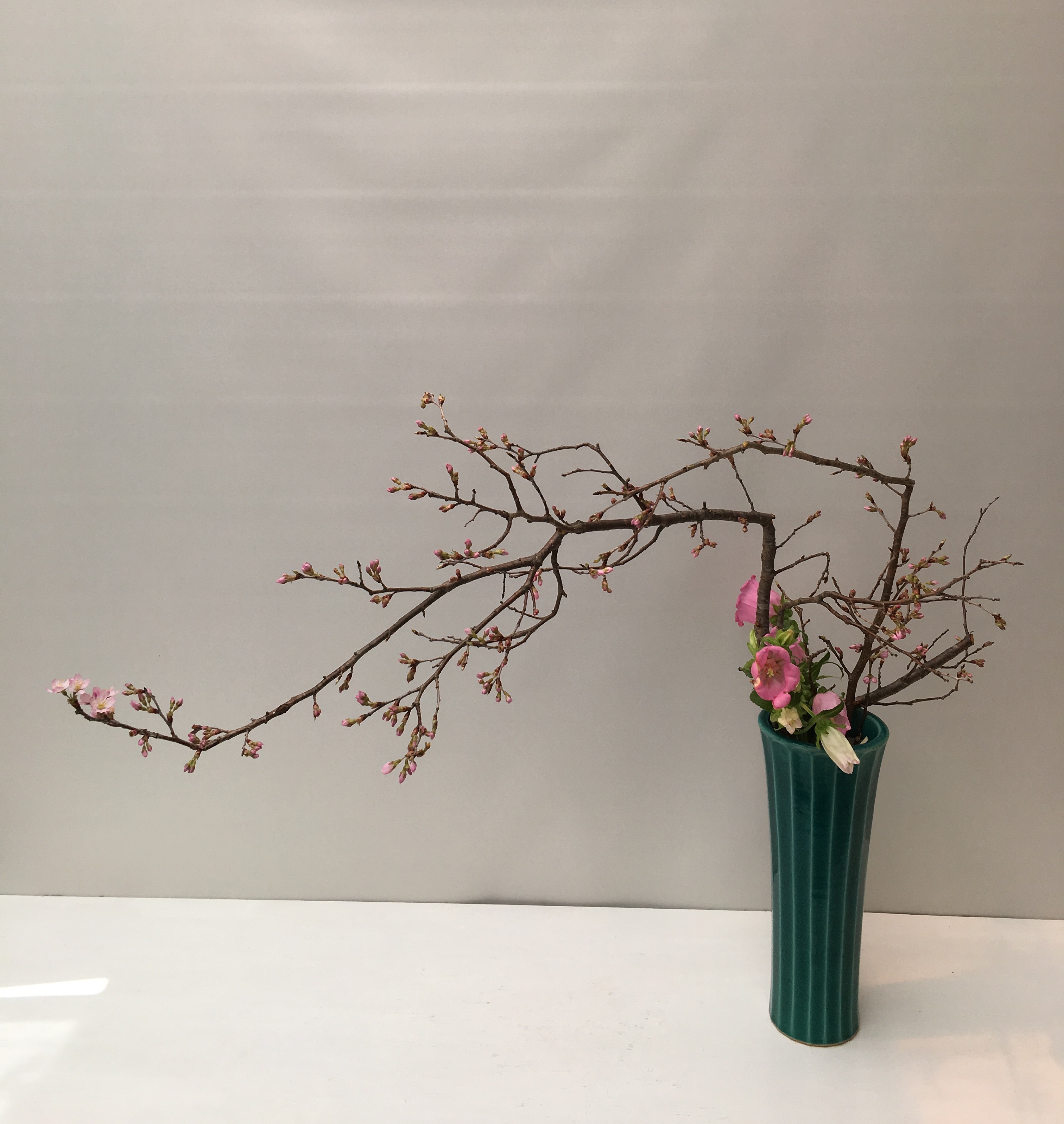 生徒作品