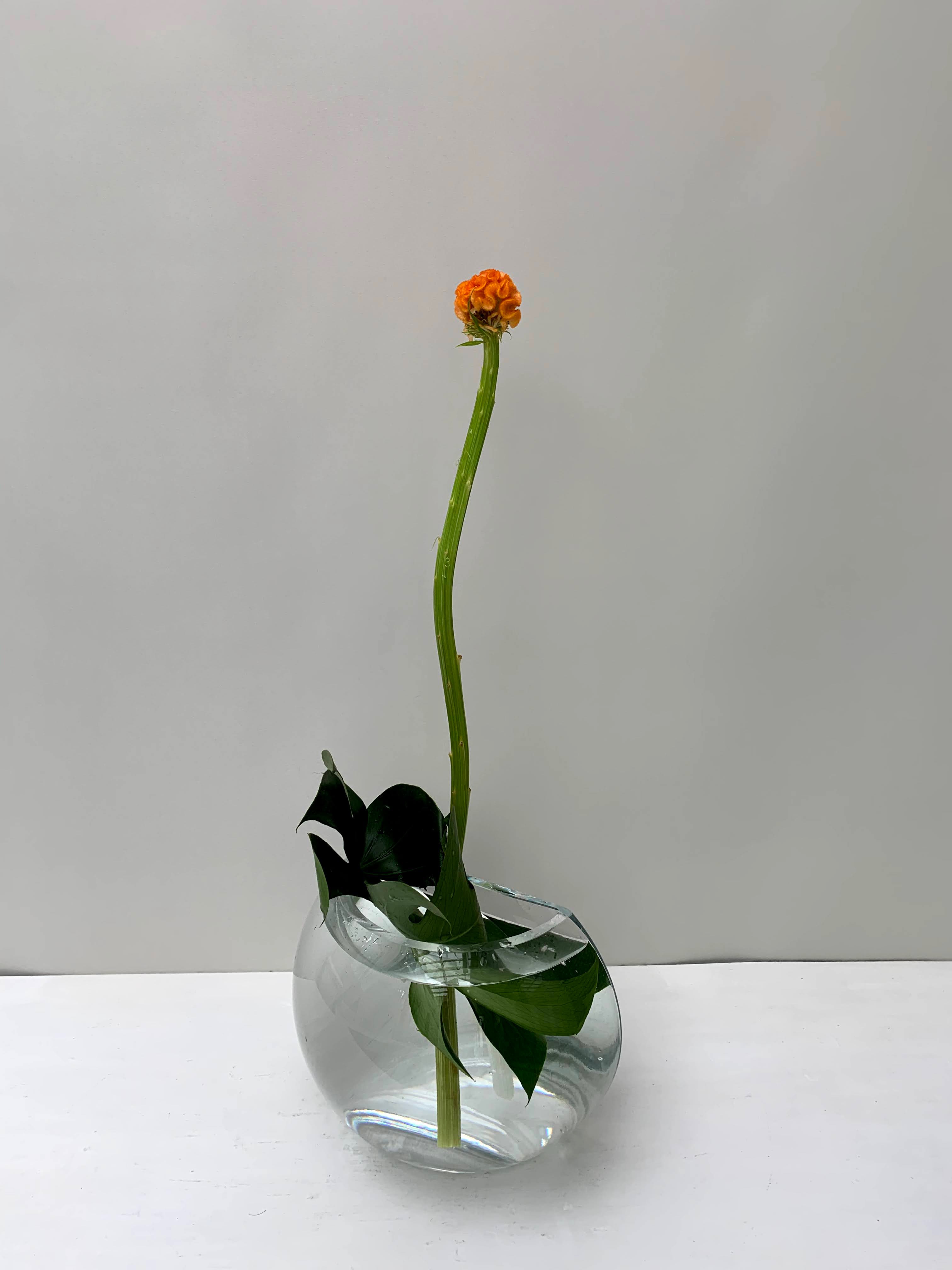 生徒作品
