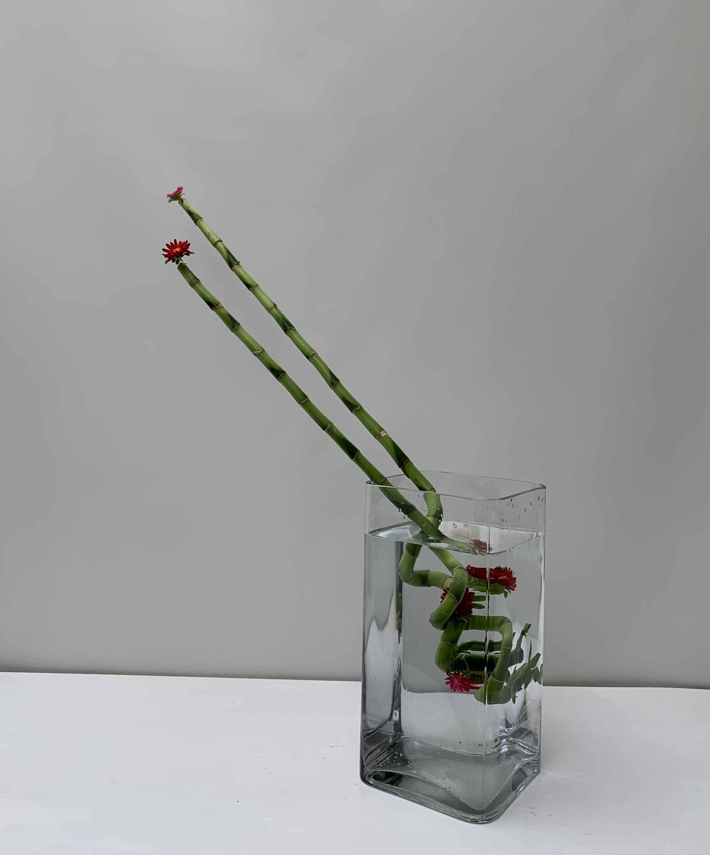 生徒作品
