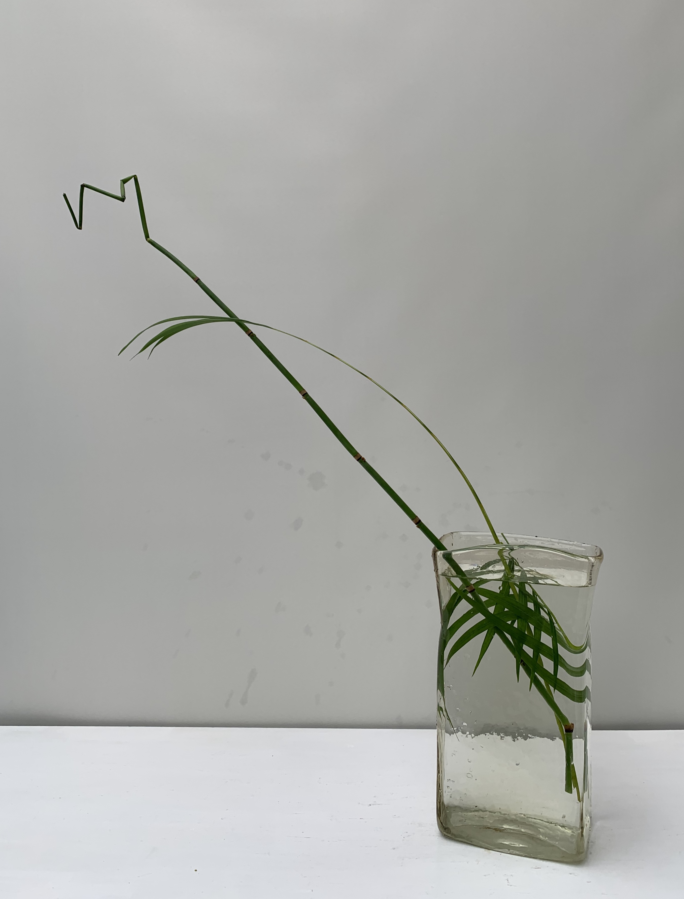 生徒作品