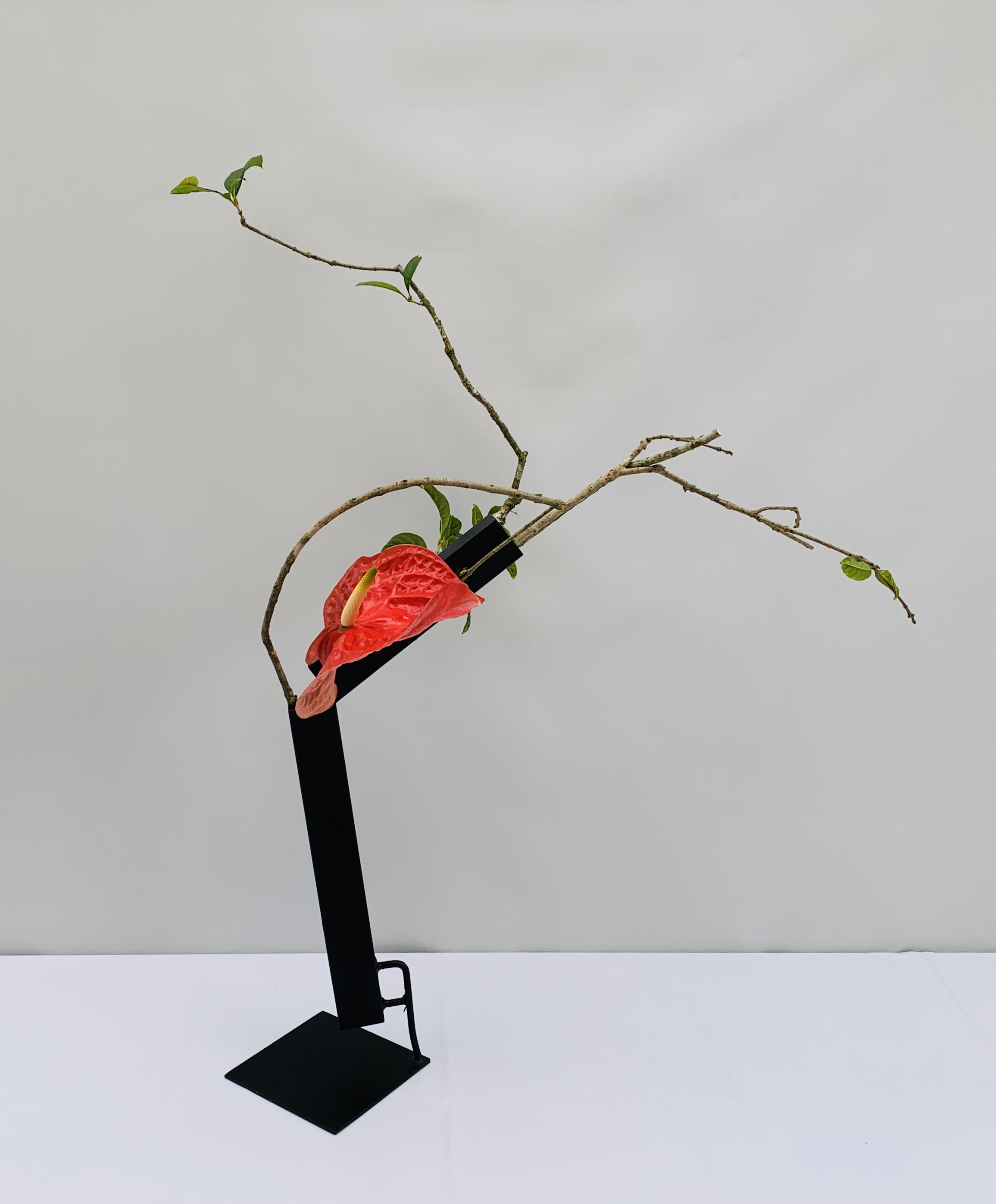 講師作品