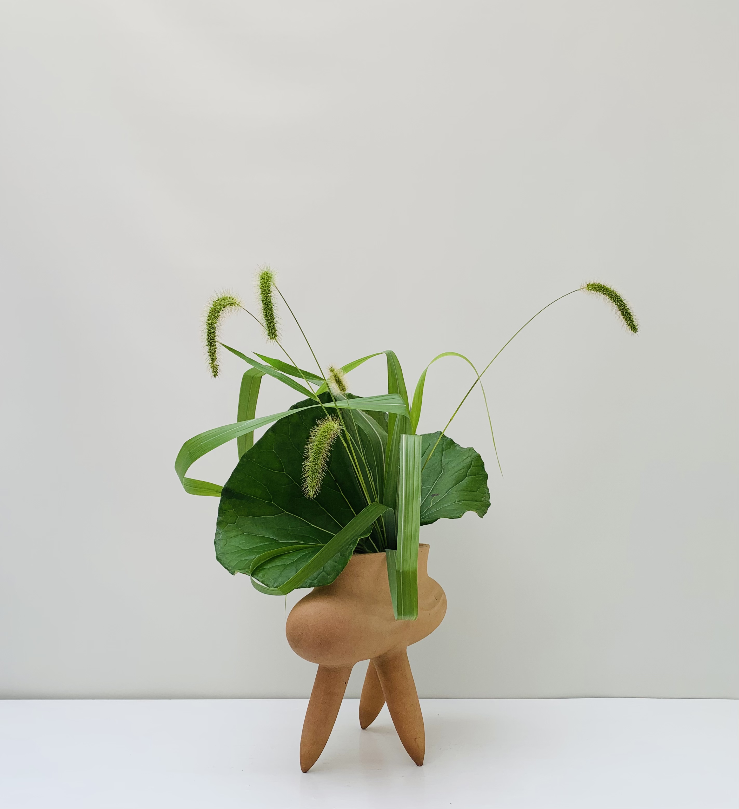 講師作品