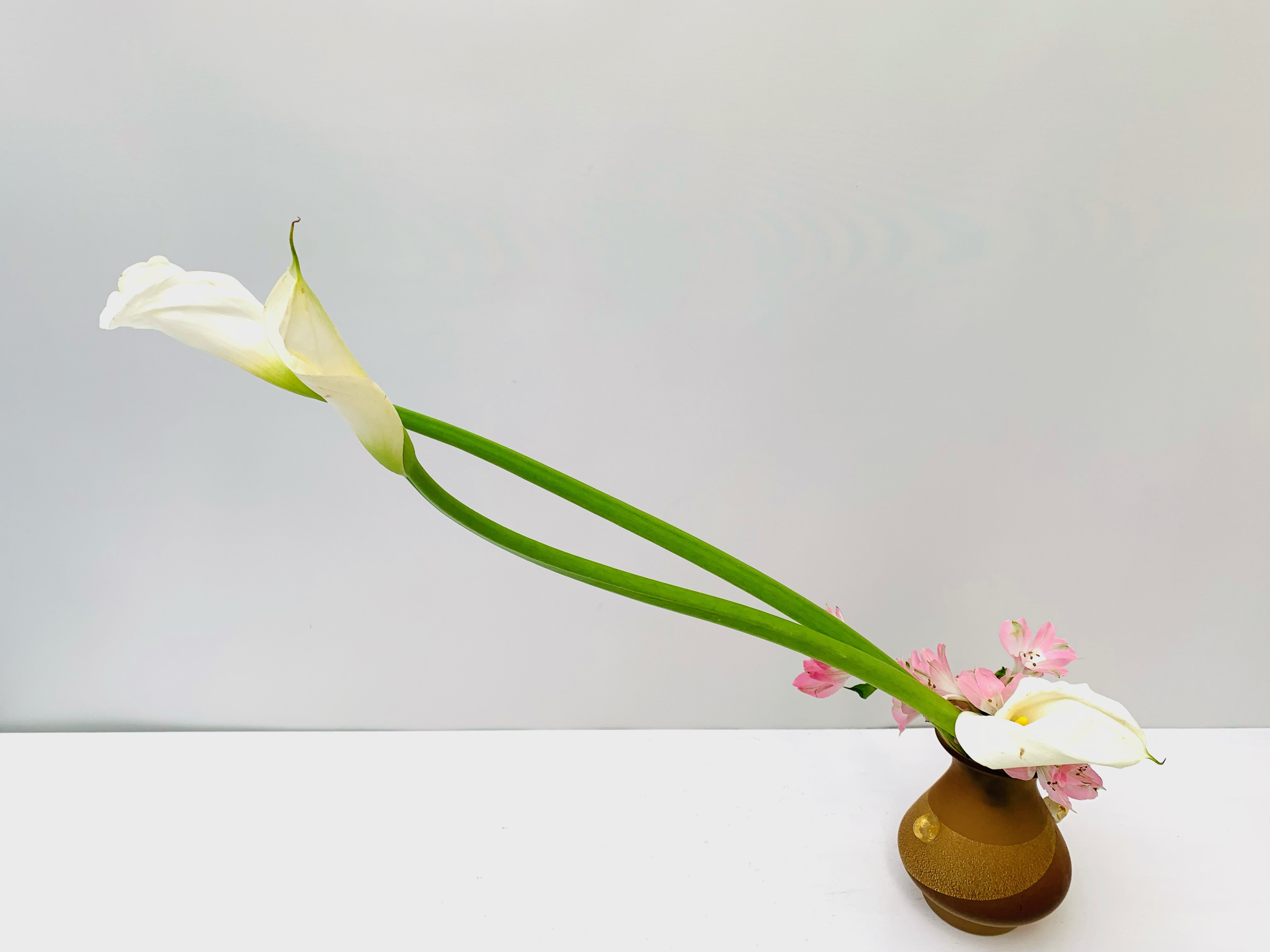 講師作品