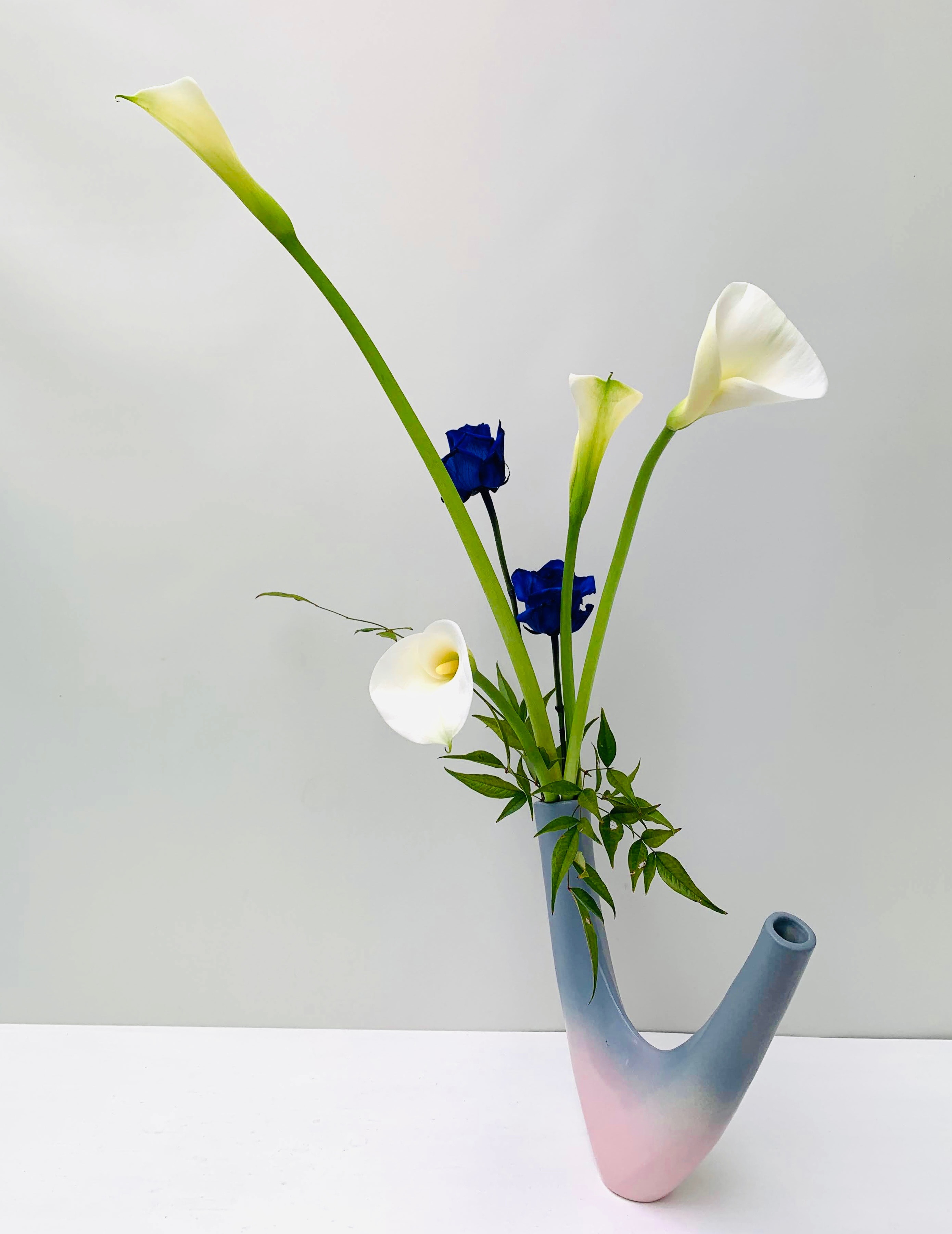 生徒作品