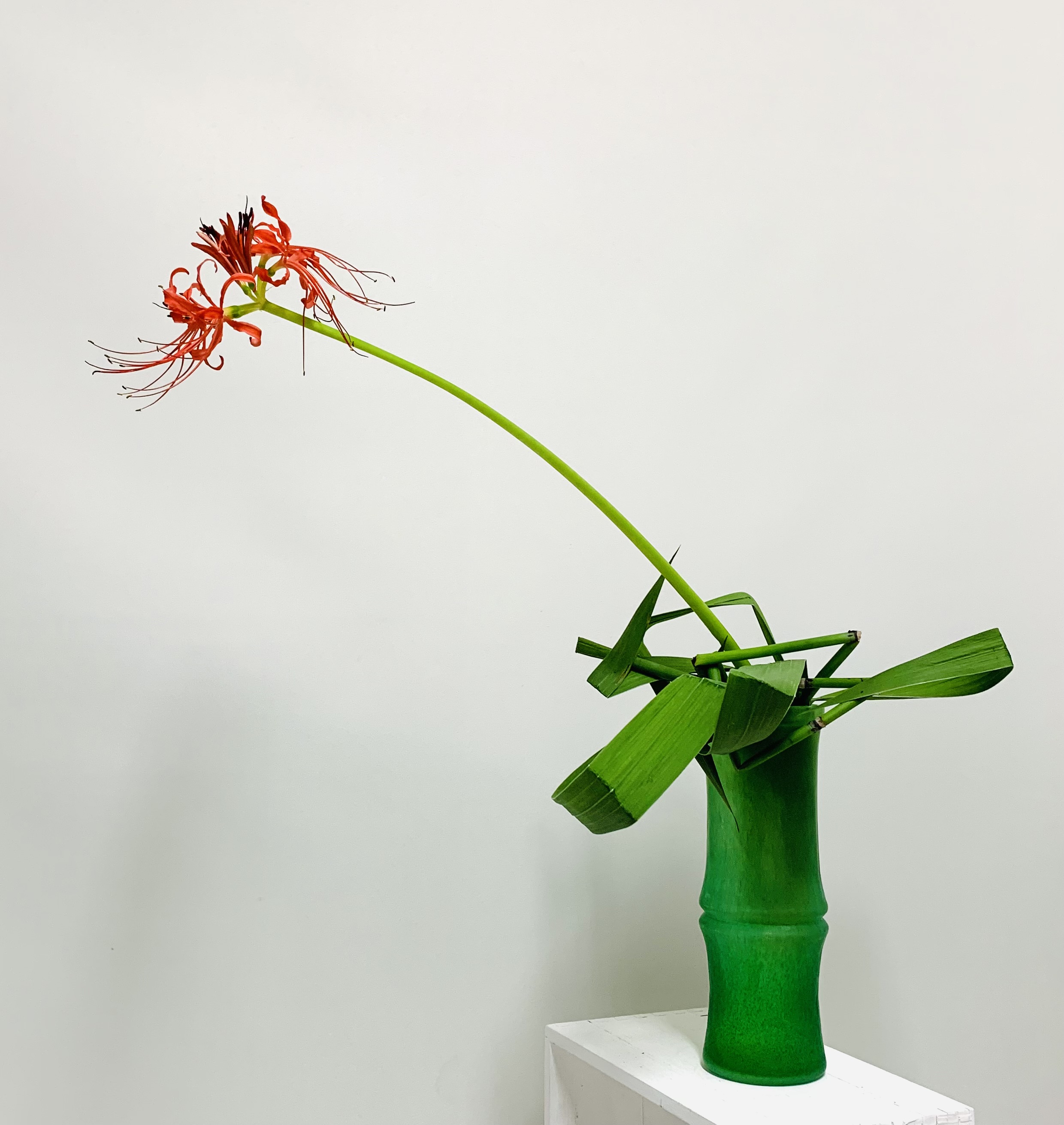 講師作品