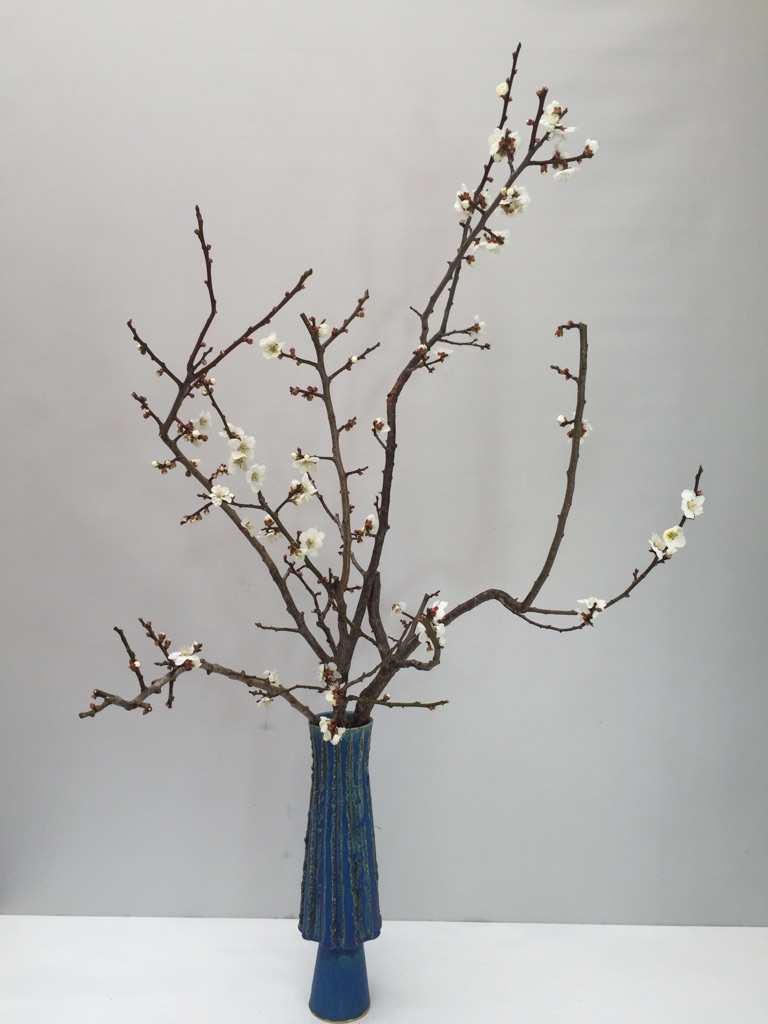 講師作品