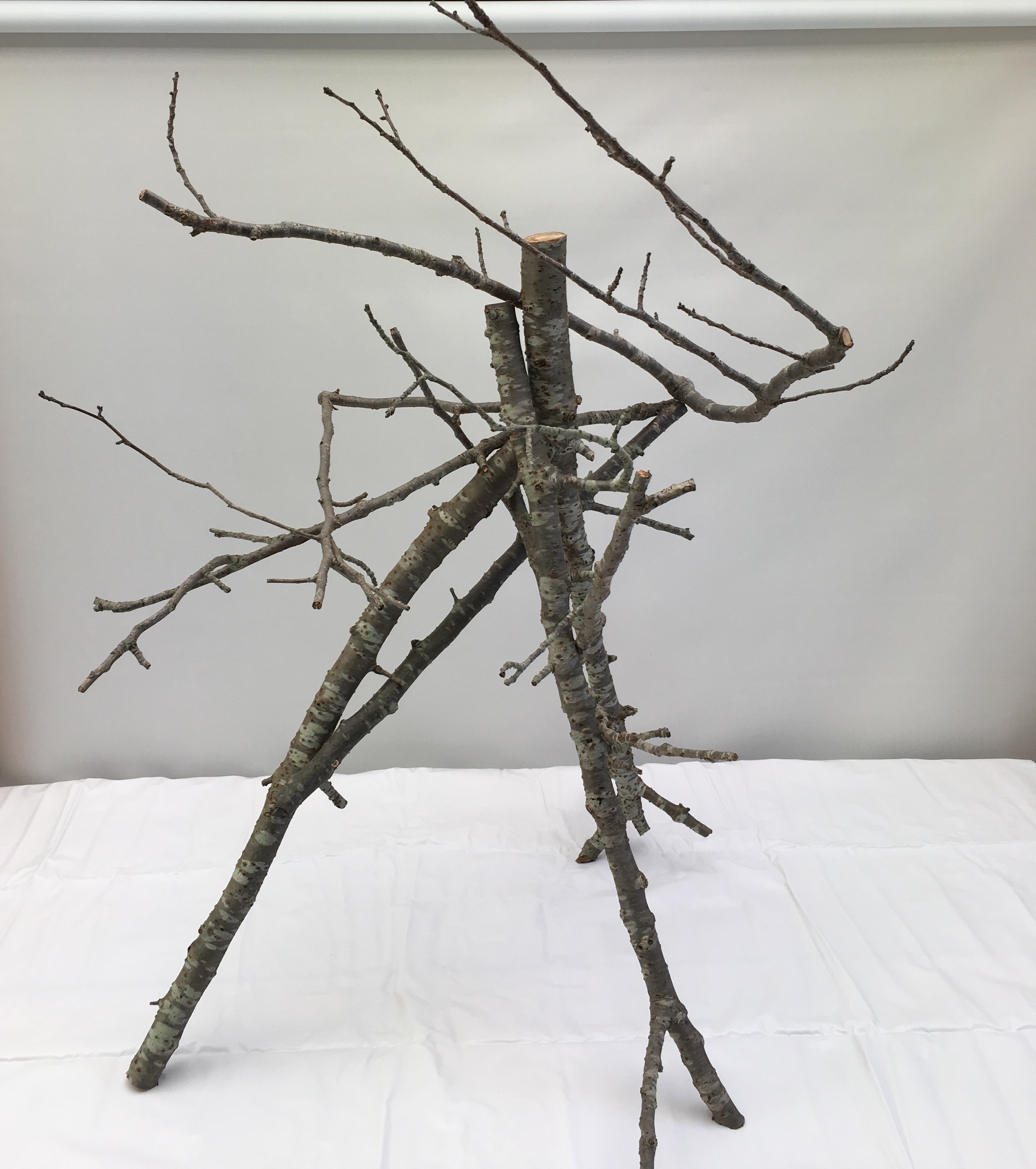 生徒作品