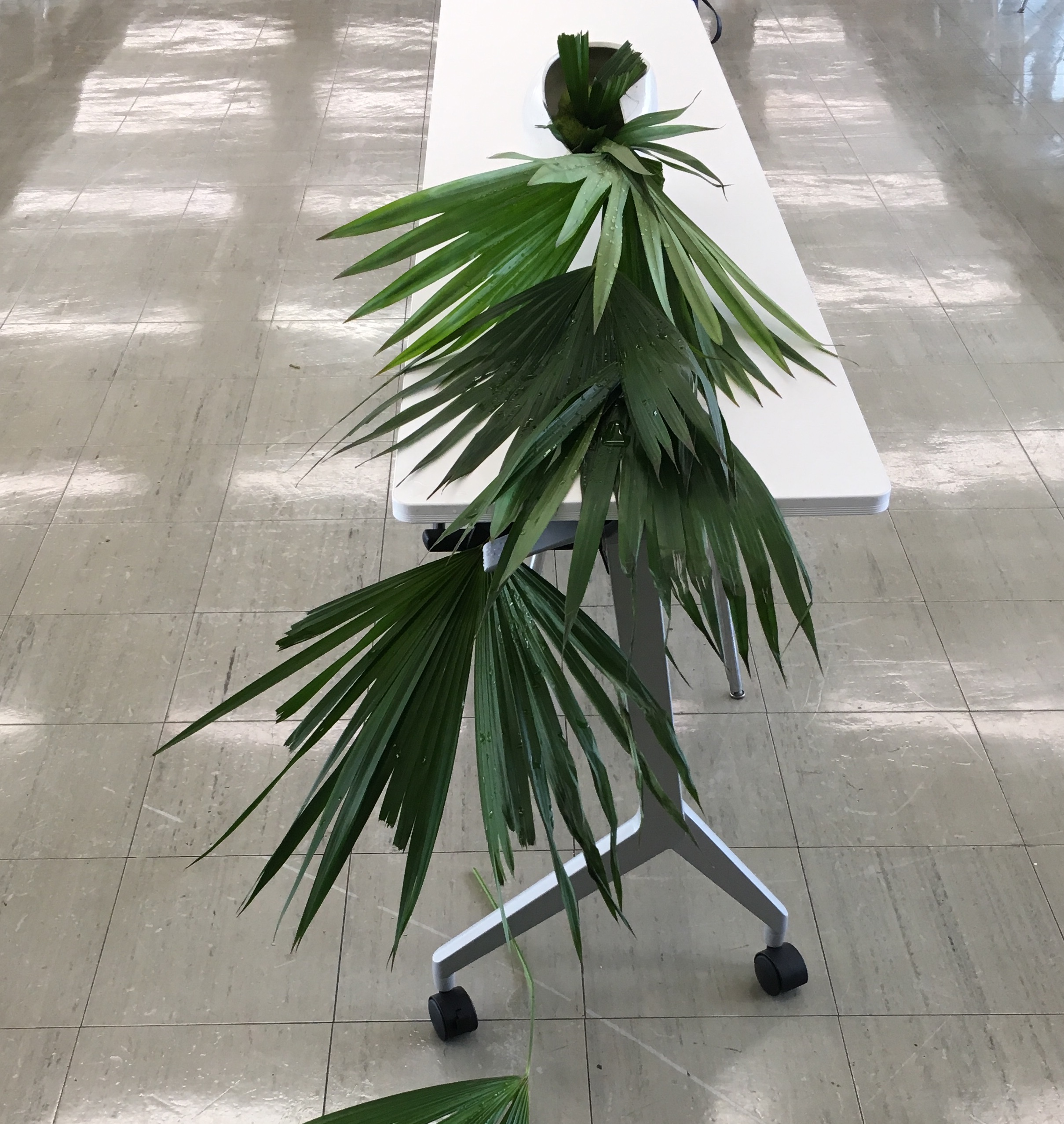 講師作品